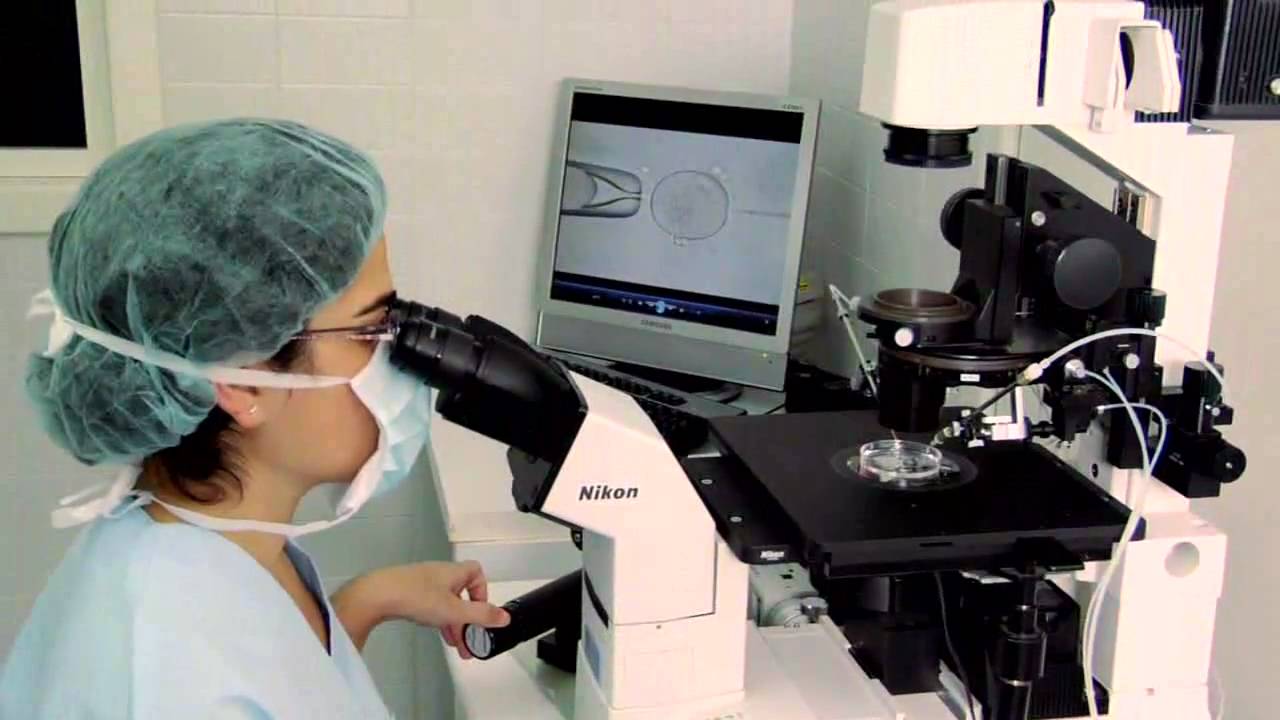 Instalaciones del Instituto Bernabeu