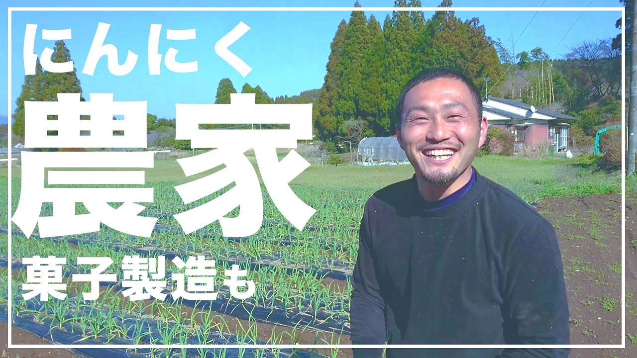 【農家紹介】６次化している宮崎県のにんにく農家【金之助】