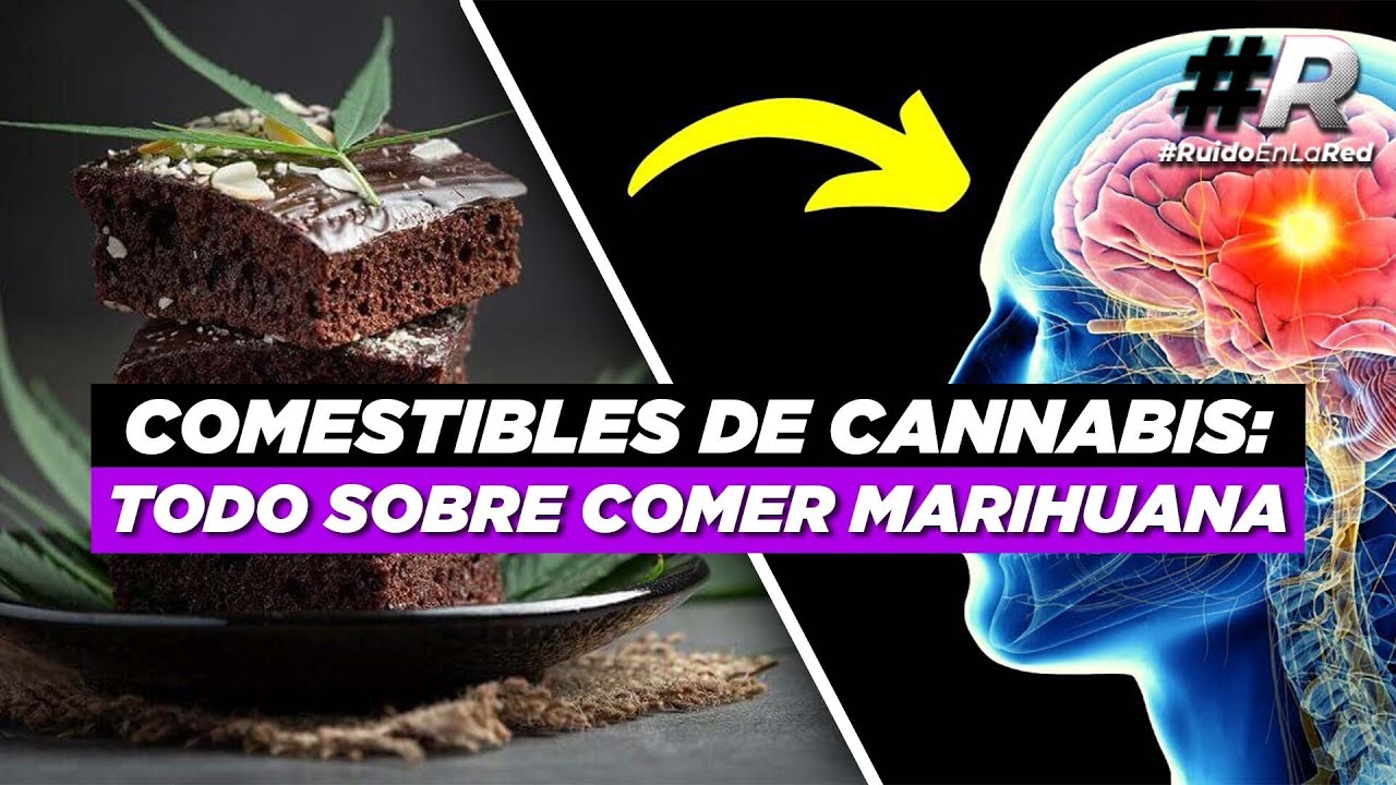 Comer marihuana: todo lo que hay que saber de comestibles con marihuana