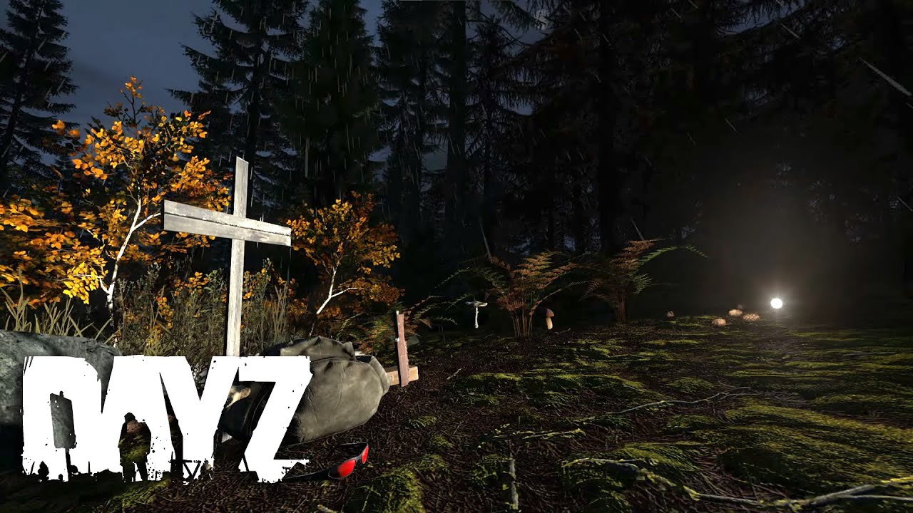 1 Hour of DayZ / Rain / Nature Sounds
