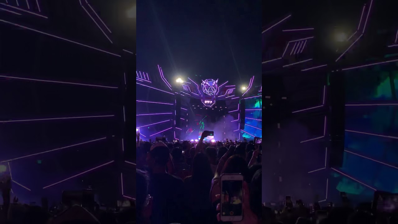 zedd dwp 2019