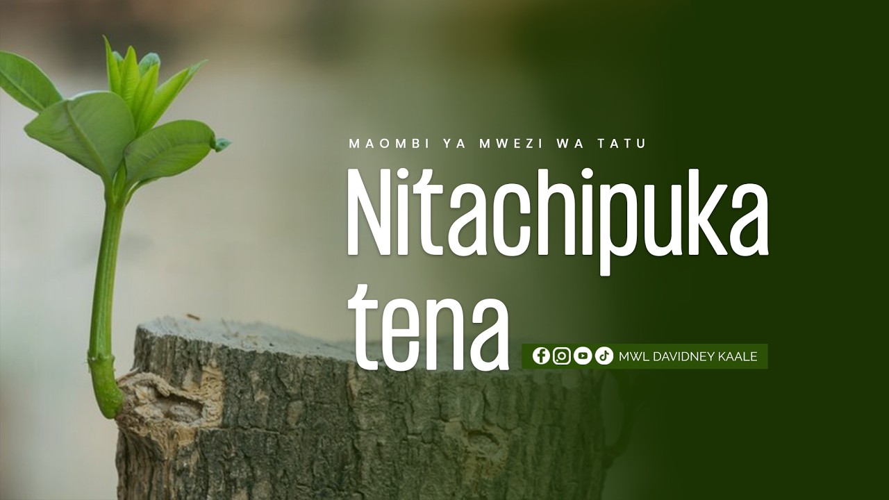 Maombi ya Mwezi wa Tatu (Nitachipuka tena) ~ Mwl Davidney kaale