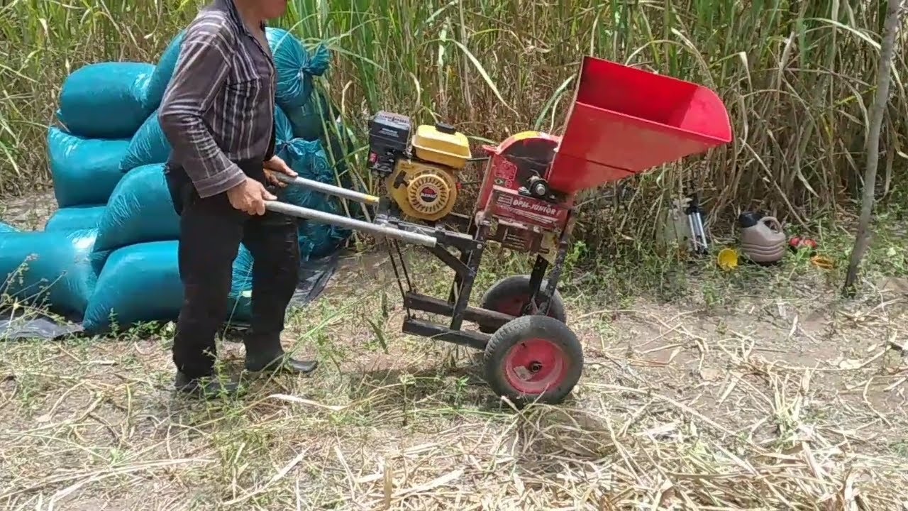 silagem de capiaçu em sacos  forrageira Nogueira DPM Junior motor gasolina 7hp