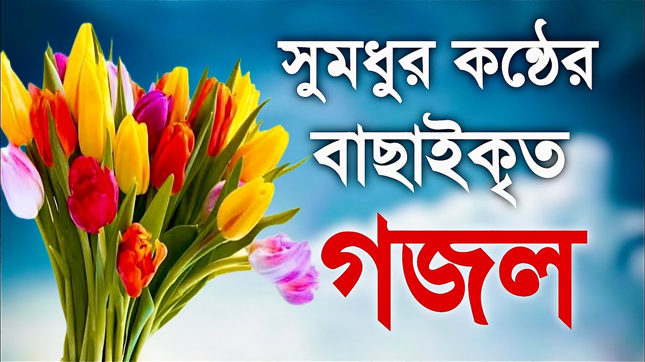 Bahadur Jamai | বাহাদুর জামাই | Full Natok | Niloy Alamgir | Samira Khan Mahi | Bangla New Natok 26