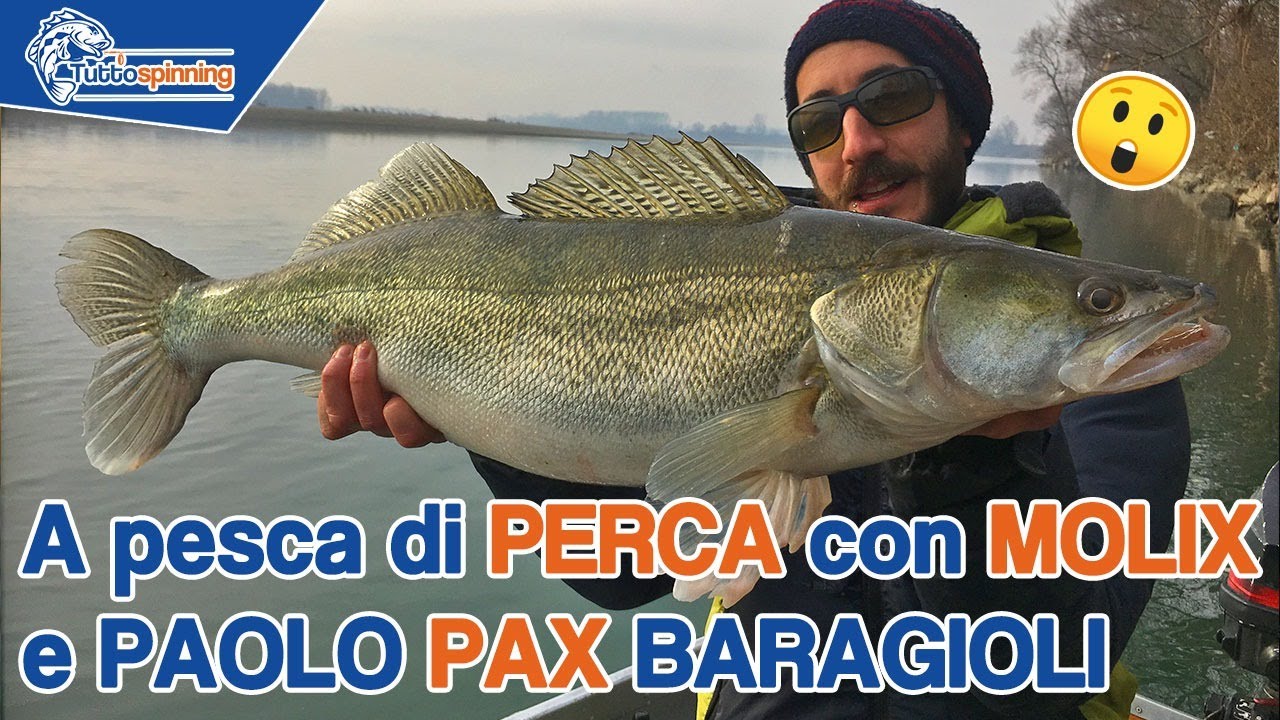 Parliamo di PESCA al PERCA con il PAX di 