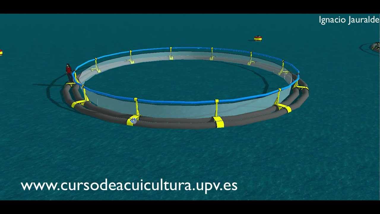 Jaulas Marinas