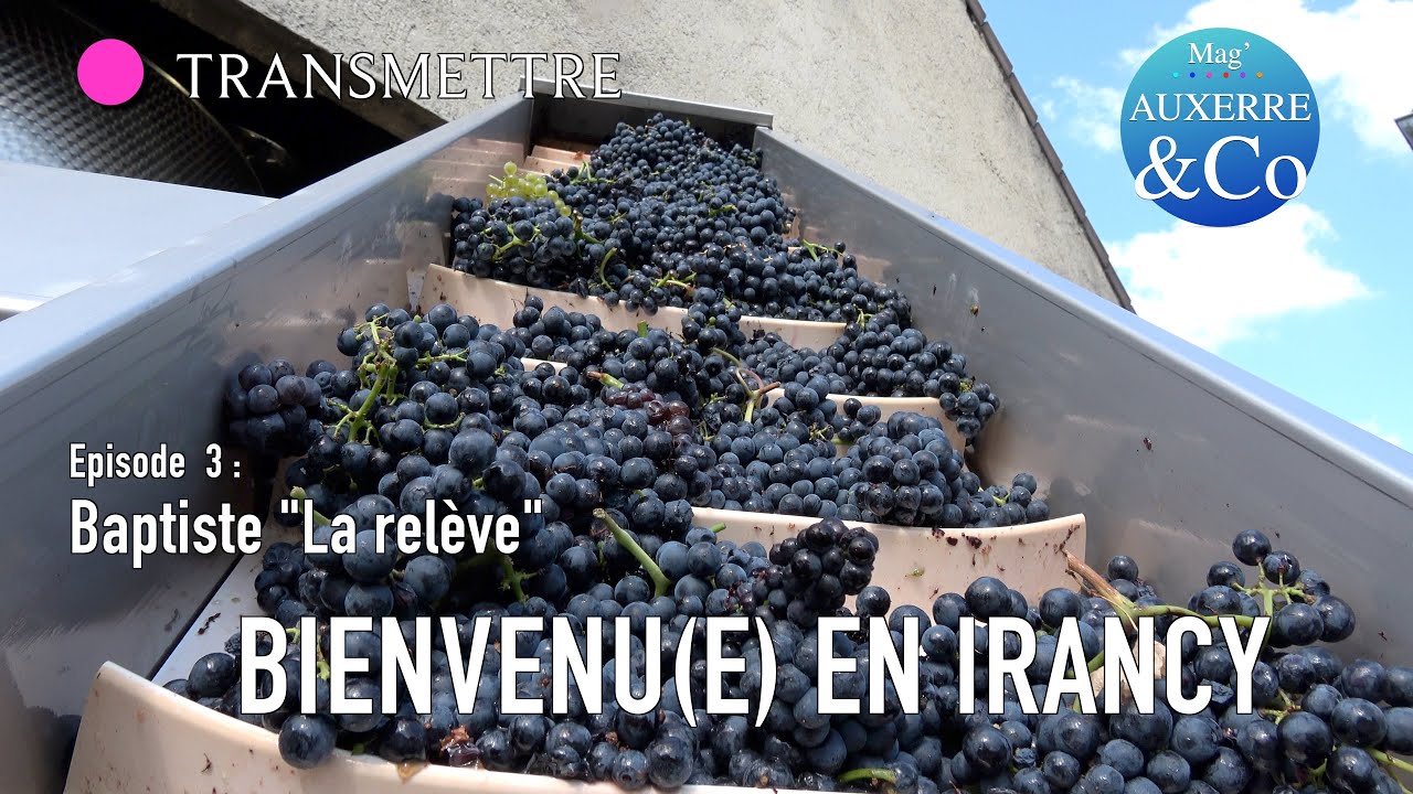 Bienvenu(e) en Irancy Baptiste la relève