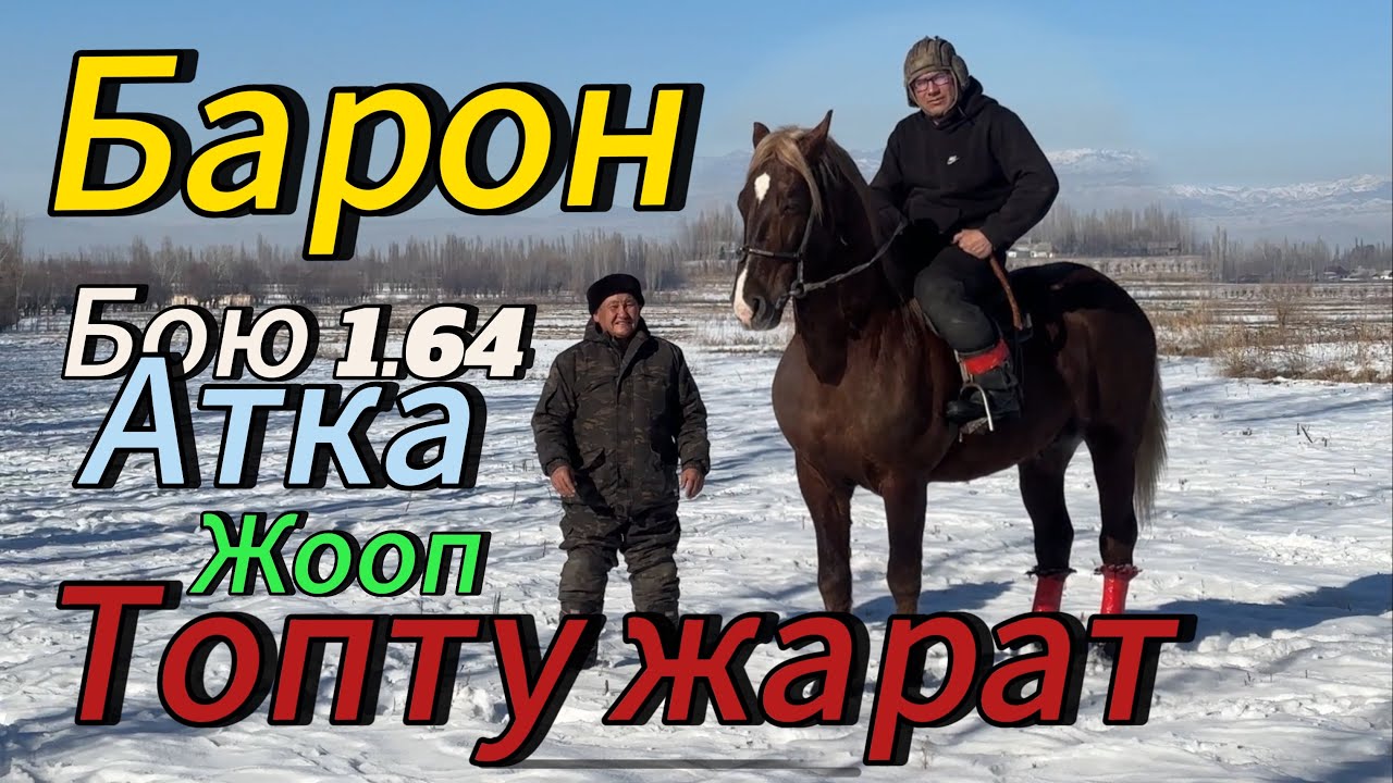 Сатылып кетти