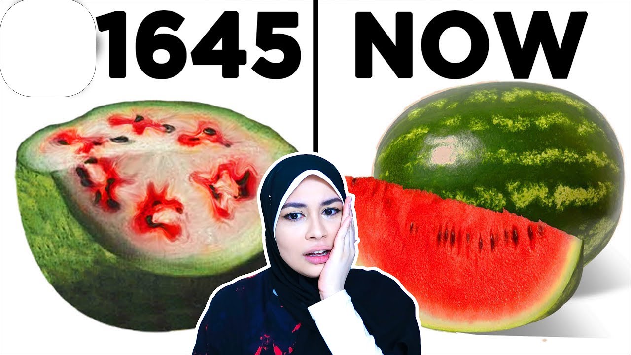 الاكل ال بناكله هو مجرد كذبة؟!!!😱👽