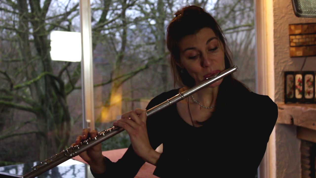 Ernst von Dohnanyi Passacaglia op. 48 for flute solo