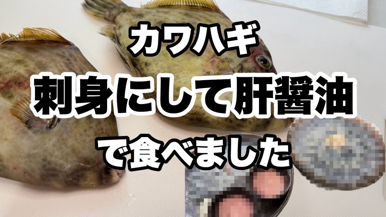 義母待望【カワハギの肝醤油】食べました