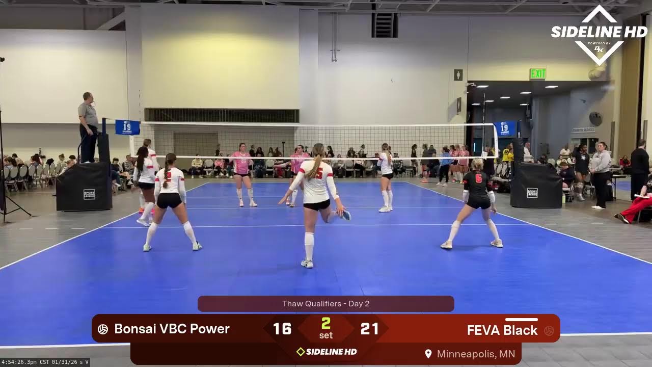 FEVA Black vs. Bonsai VBC Power (2026.01.31)