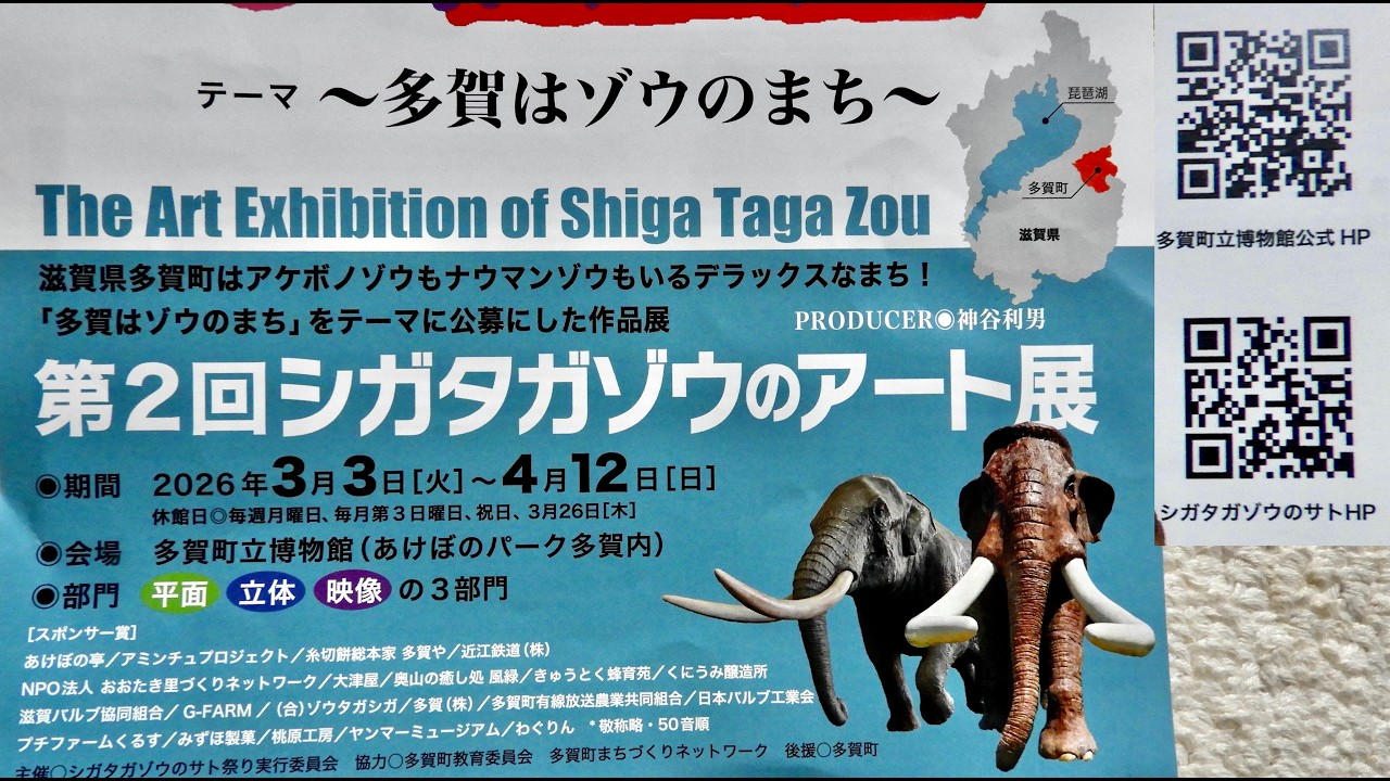 多賀アケボノゾウアート展   ※多賀はデラックスなゾウの町なんよ。日本歴史（古事記）から有名な、滋賀県多賀大社のそばにある多賀町立博物館で只今開催中。