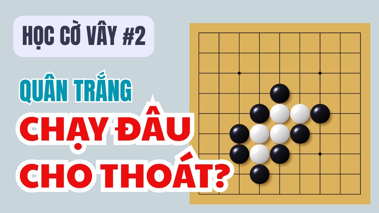Học chơi Cờ Vây #2: Đòn ĂN QUÂN cơ bản! QUAN TRỌNG: Quy tắc 