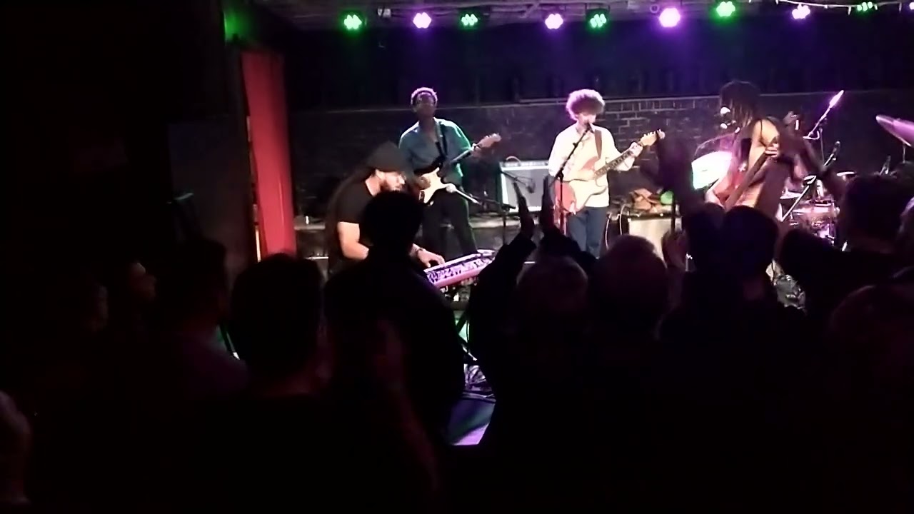 The Psycodelics 