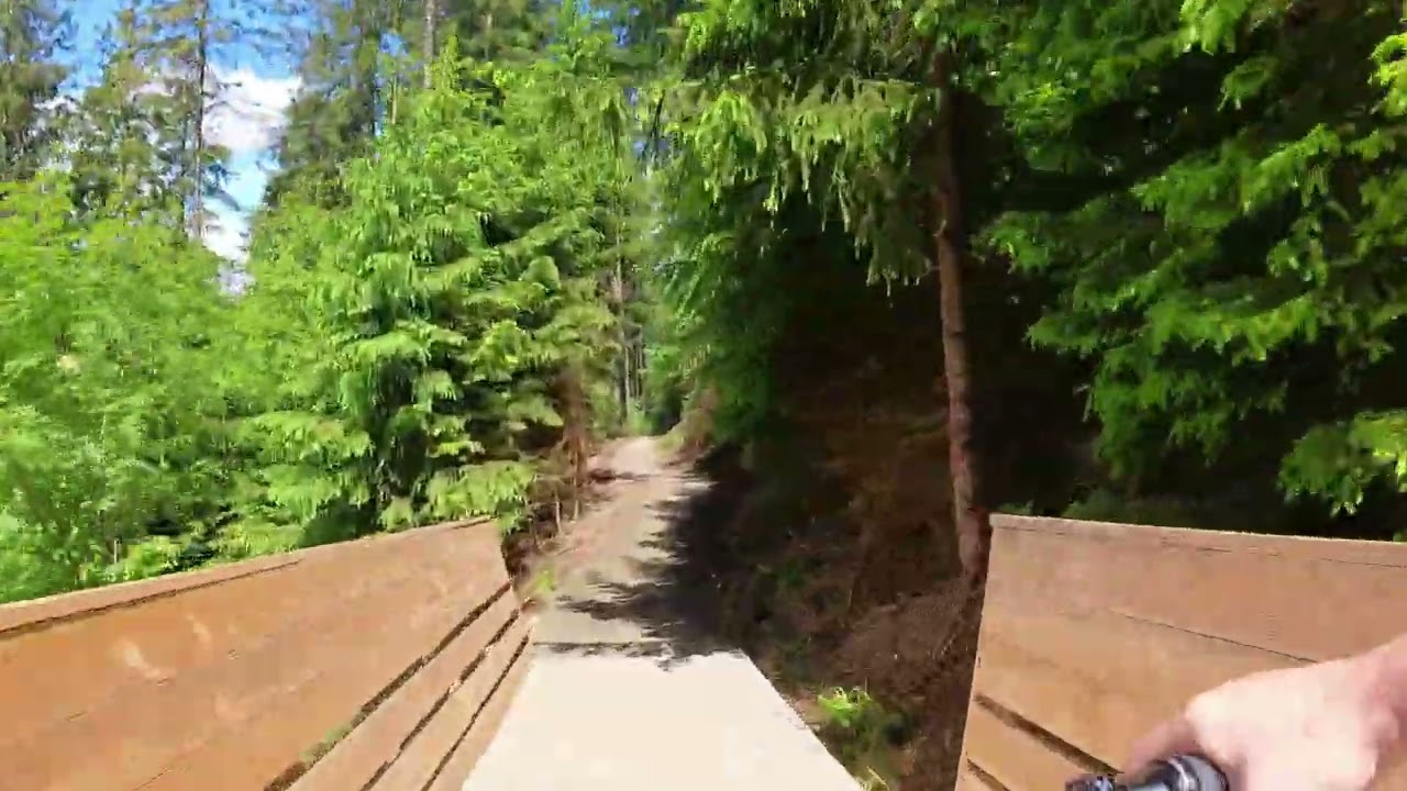 Green Trail Willingen Bike Festival 2024,Radon,Render,Projekt Green Trail