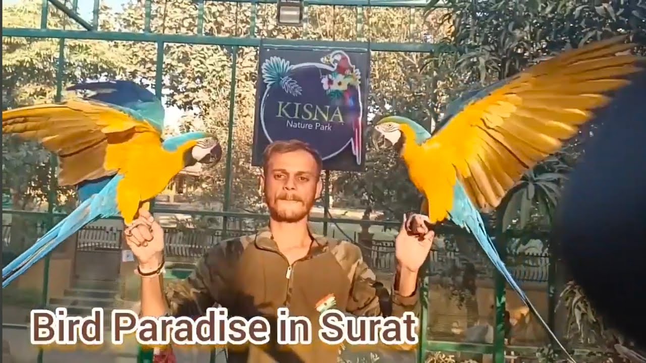 Kisna Nature Park Surat | biggest parrot farm in india | Mini Zoo