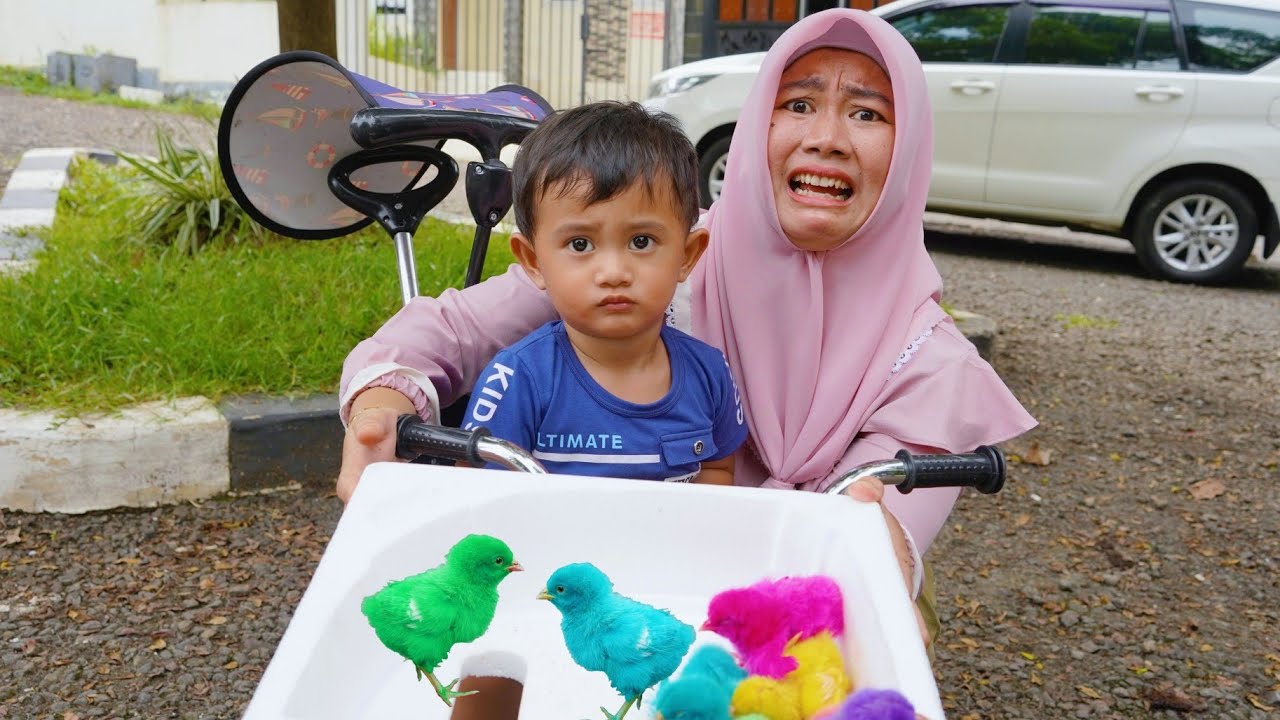 AZAM MENANGKAP AYAM WARNA WARNI YANG HILANG 🐤 SAAT MAIN SEPEDA