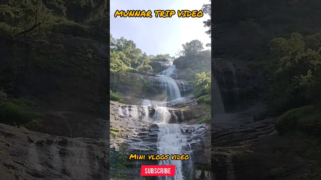 munnar trip mini vlogs video @Helpinggroupvlogs #munnar #song #teafarming #ytshorts #viral #yt