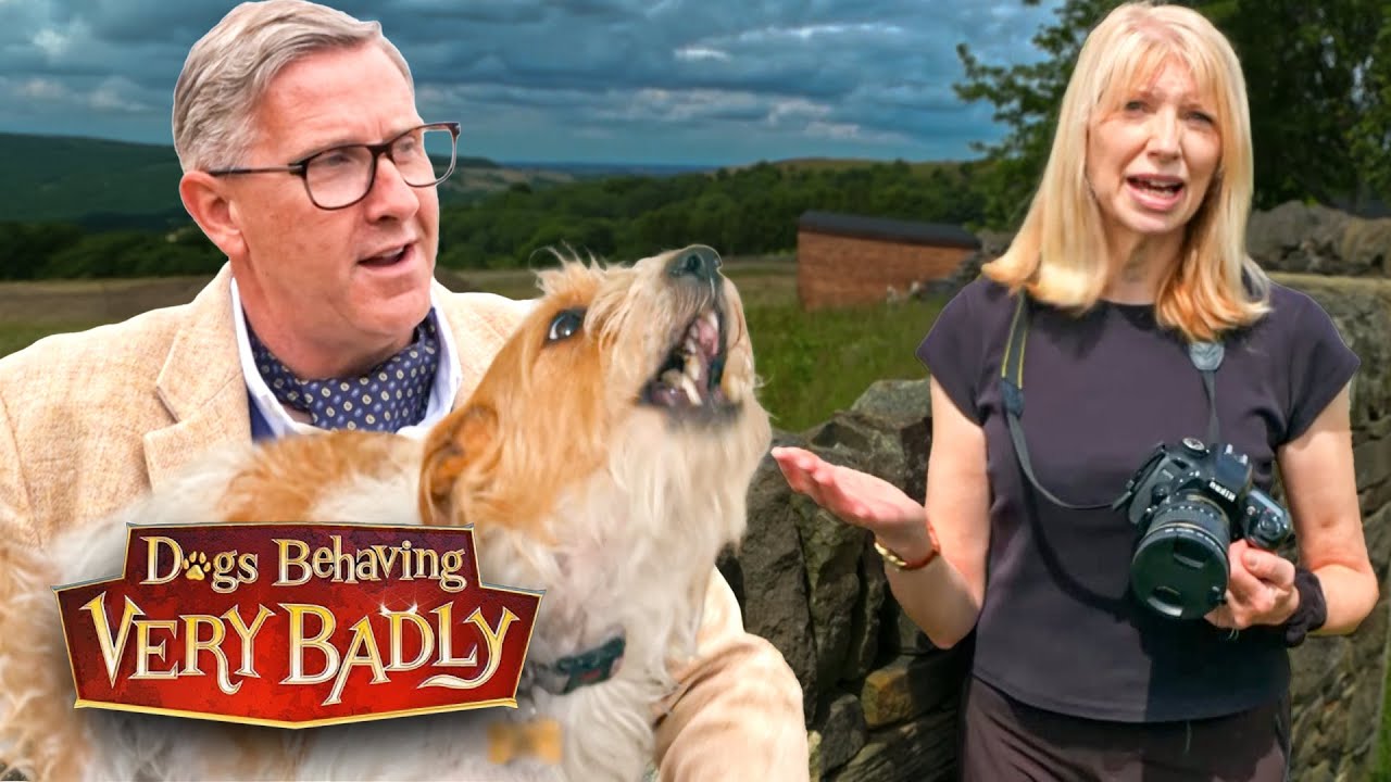 My Angry Little Dog Is Ruining My Peaceful Retirement!