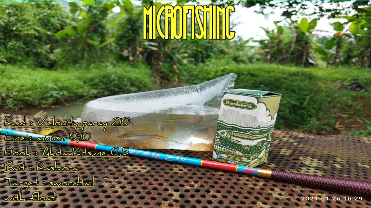 tes tegek velocity paray 210 buat microfishing , mancing ikan plati pedang di rawa #iwanwidiarto