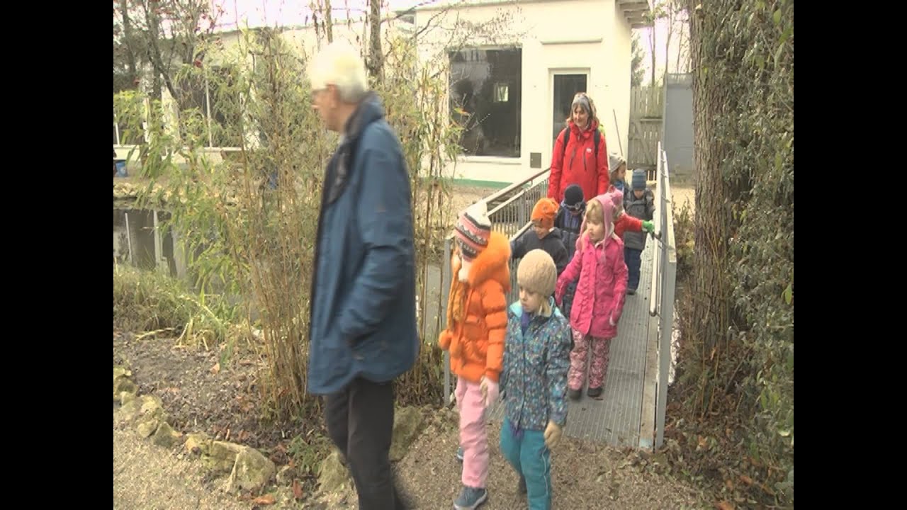 Testbild: Zoo Wasserstern Ingolstadt