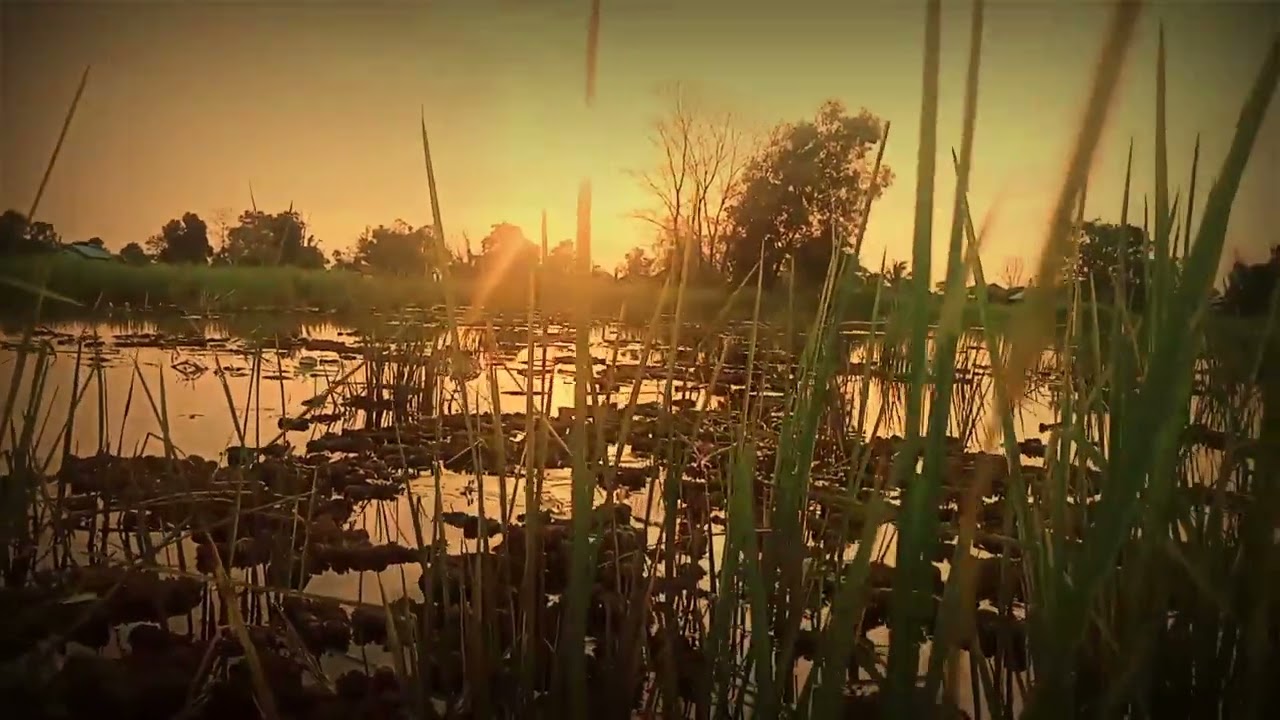 Opening film SANJA KUNING || Mitos Banjar