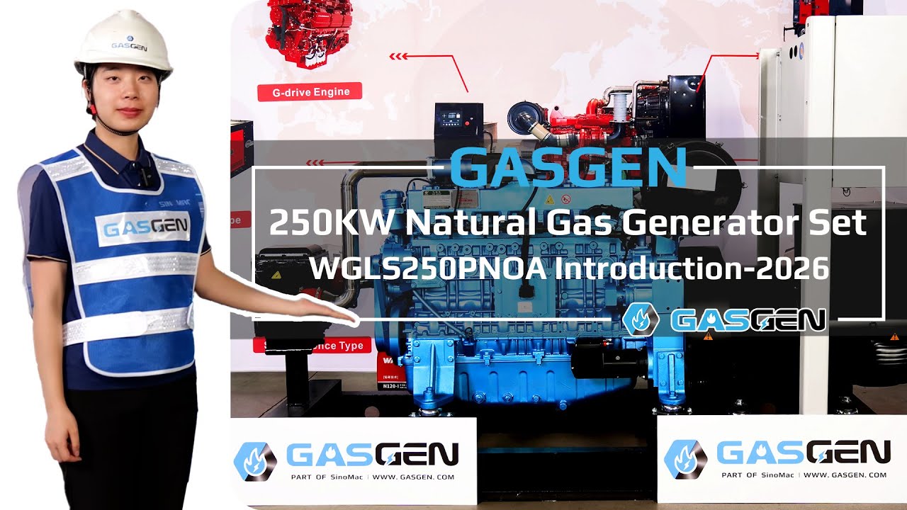 GasGen 250KW Natural Gas Generator Set-WGLS250PNOA Introduction-2026[Specifications & Scopes]