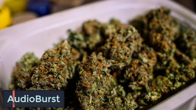 Listen To How Happy Canadian Hayley Rose Is After Beating Epilepsy With Cannabis