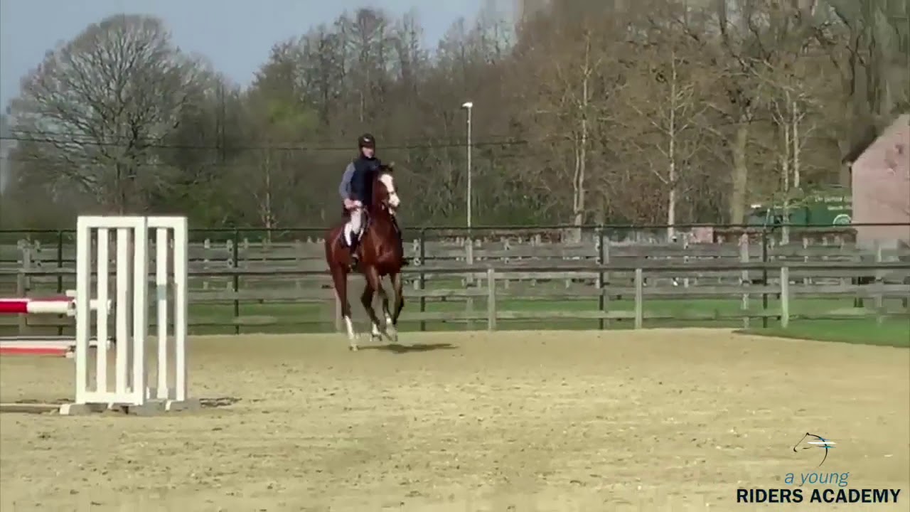 YRA moves to digital training - Jos Lansink chapter #1 - Gymnastic over Poles