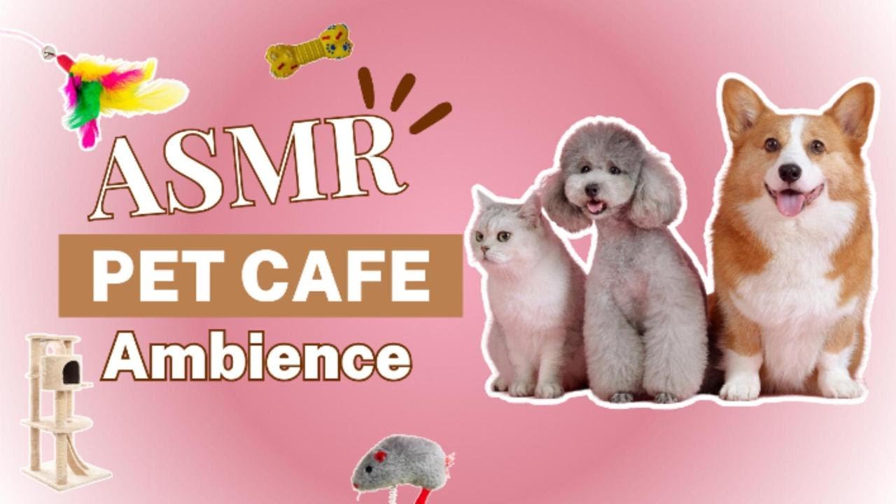 Pet ASMR🐱🐶 | Purring Cat Relaxing | Animal Therapy😸