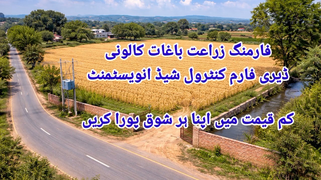 40 کنال زرعی زمین فروخت کے لیے چکوال | روڈ فرنٹ | میٹھا پانی | فارم ہاؤس اور ڈیری فارم کے لیے بہترین