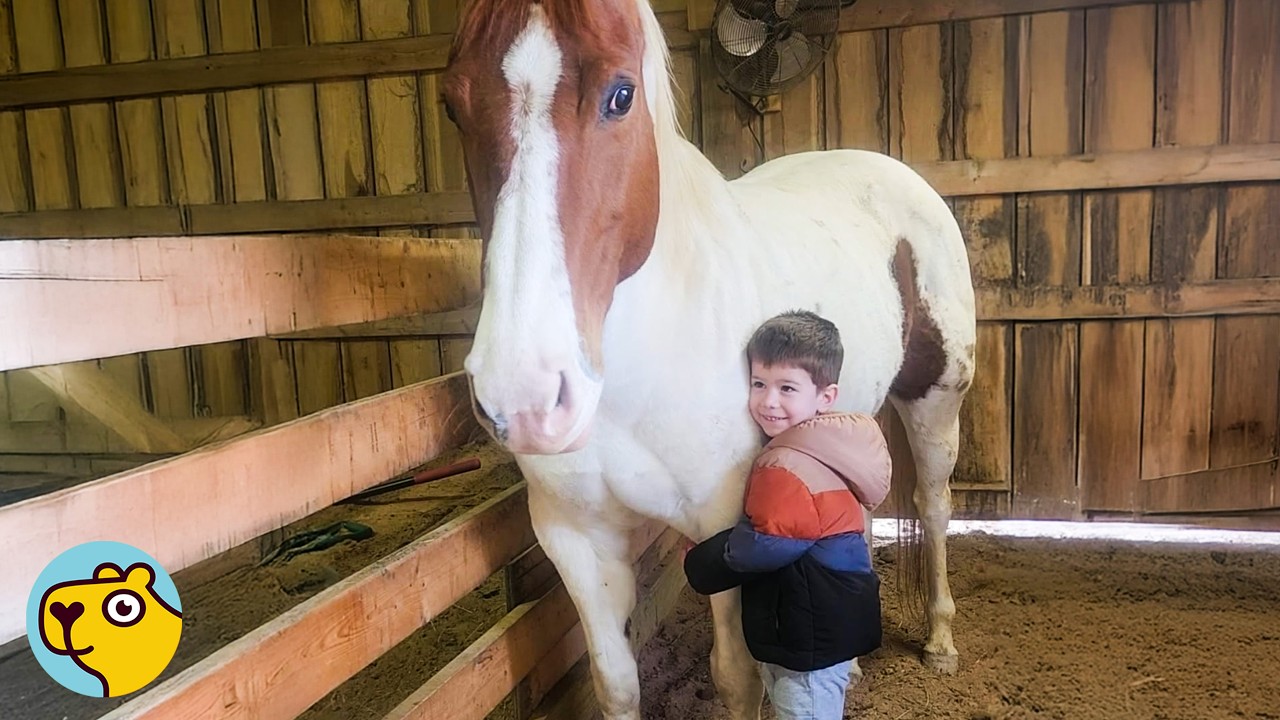 Horse Comes Galloping Every Time She Hears Her Boy