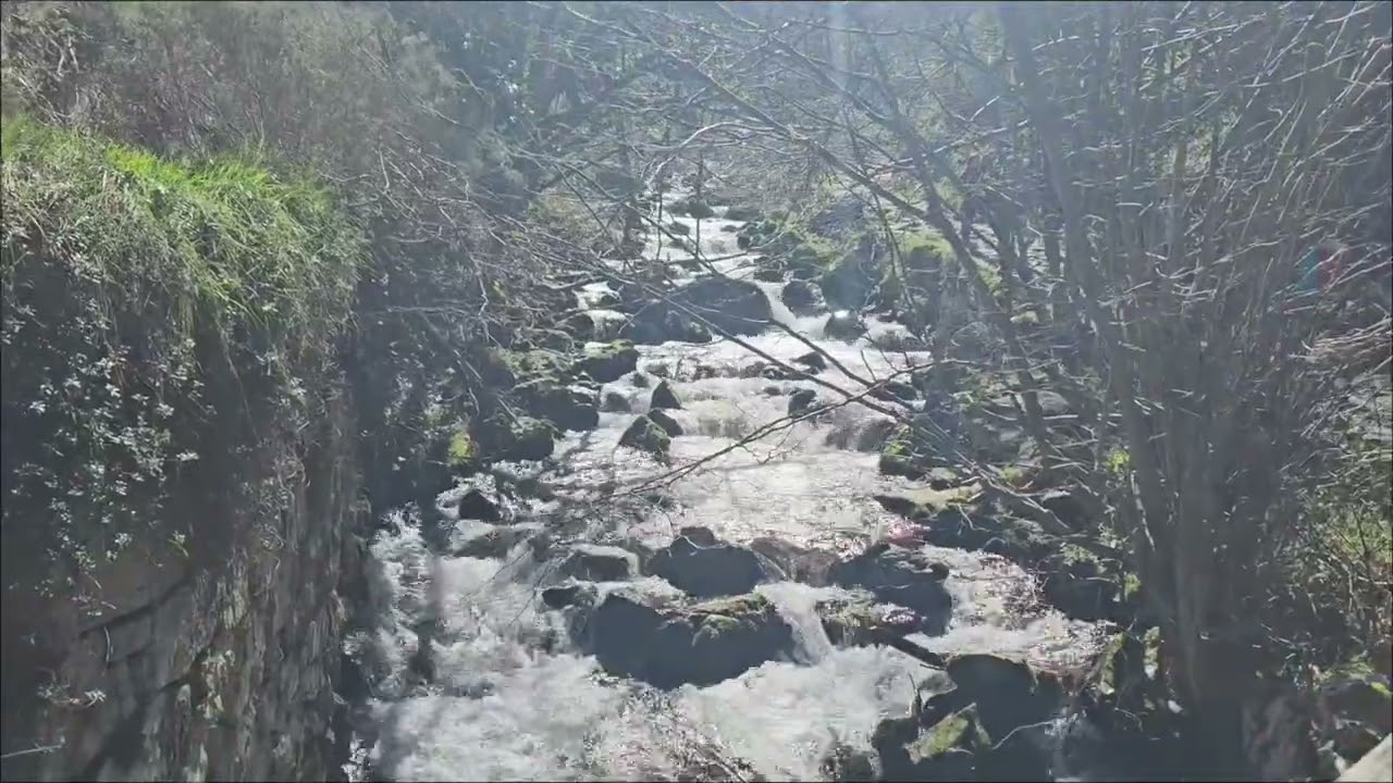 Ruta de Foces del río Pino.