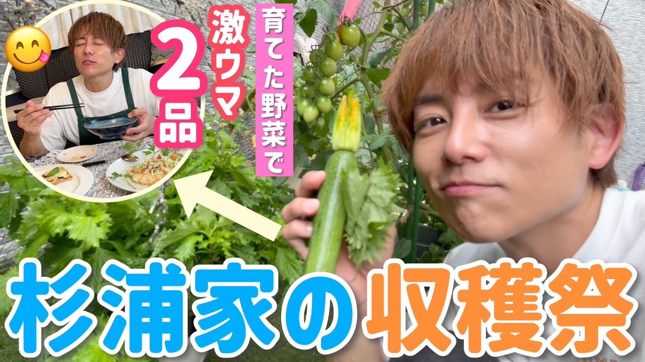 【家庭菜園】採れた野菜でクッキング〜！鮮度抜群で激ウマ！