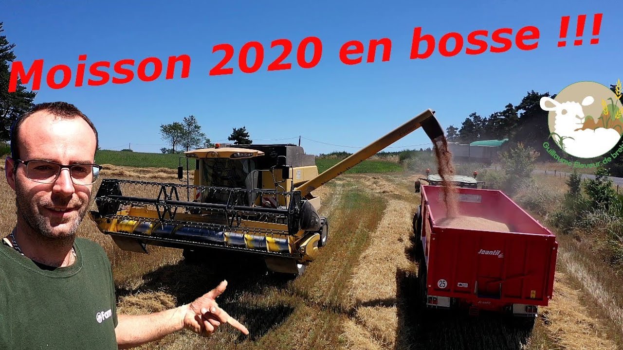 C'est chaud entre moisson et agnelage à la ferme N°77