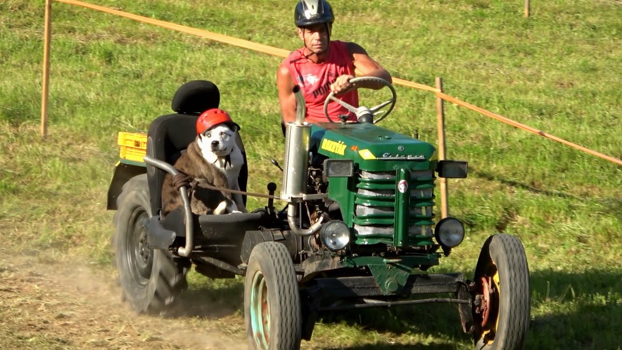 Tractors - Traktoriáda Těškov 2023