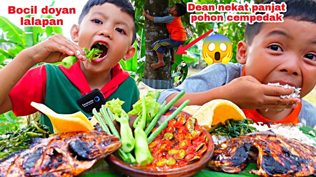 BOCIL LALAP BATANG PEPAYA.DEAN NEKAT PANJAT POHON CEMPEDAK 😱