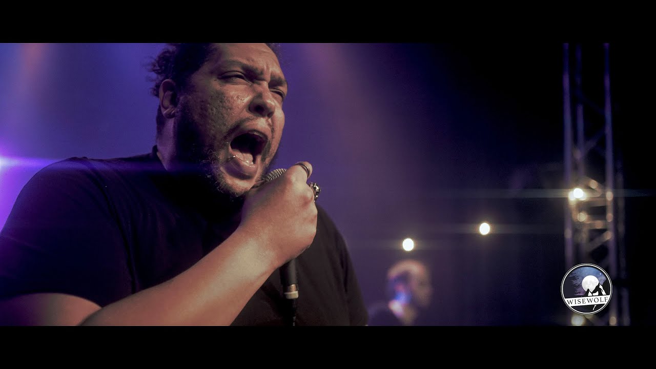 WISEWOLF - Lost Into The Wild (Official Music Video)