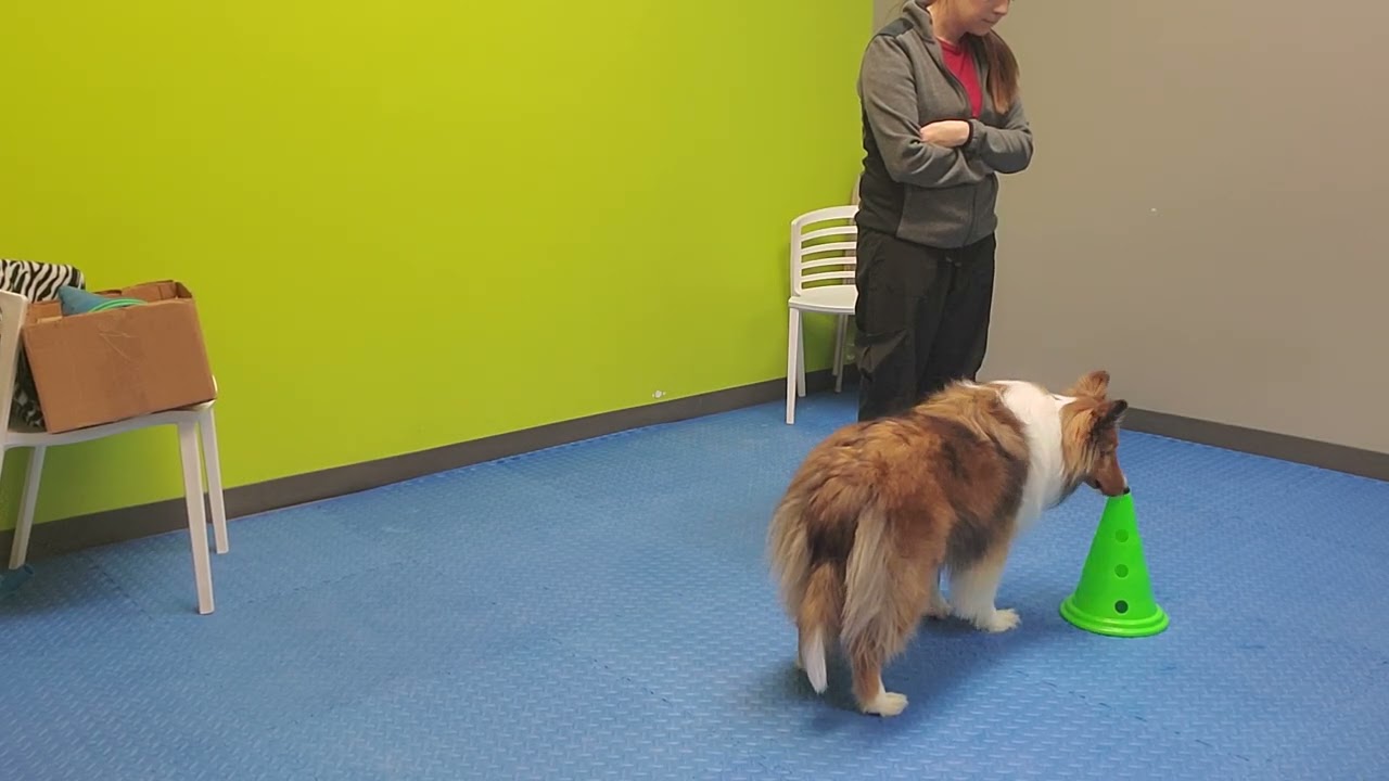 Barclay Conditioning