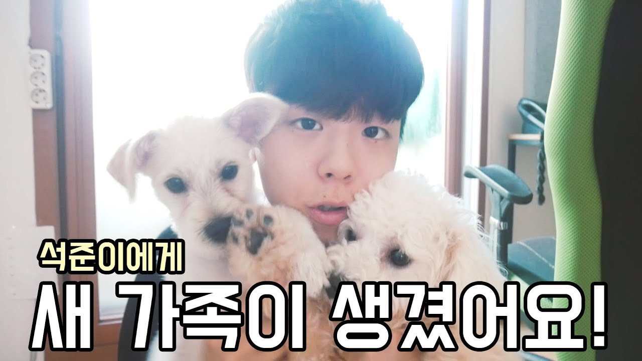 [석준] 석준이에게 새 가족이 생겼어요! 여자친구와 함께 새 가족을 만나러 갔다 왔습니다ㅎㅎ (리플s 석준 여름)