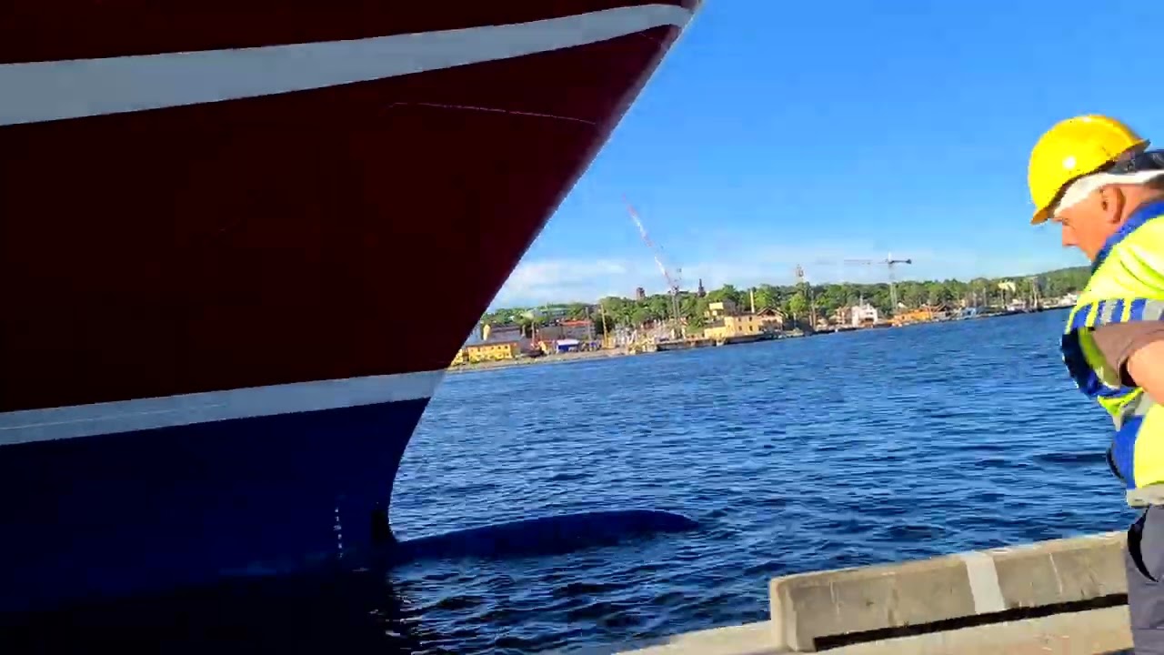 Viking Glory arrives at Stockholm port - hyperlapse