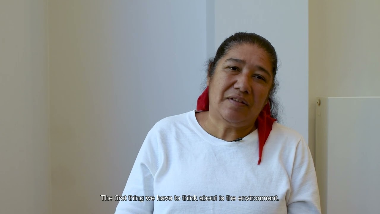 Agroecology to regain the land: Brazilian defenders face agroindustry