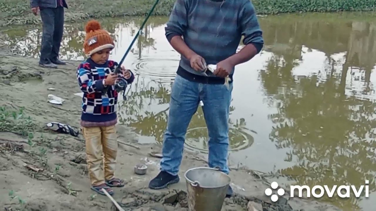 Common carp fish //Big fish fishing //Israel fish