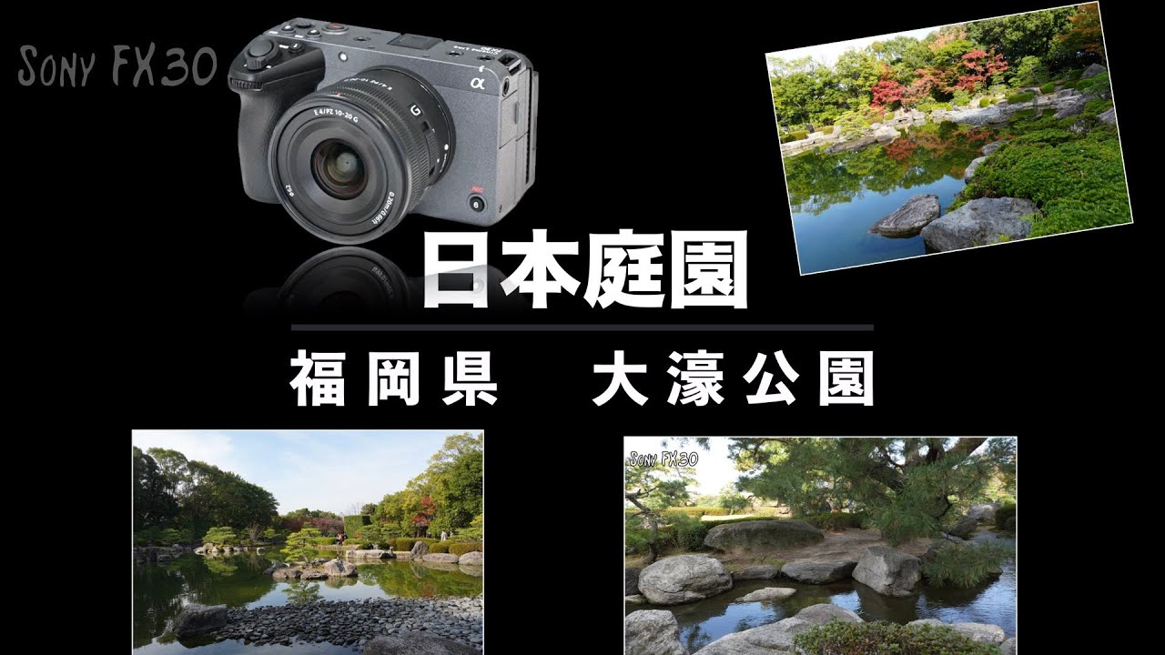 【Sony FX30】 大濠公園日本庭園