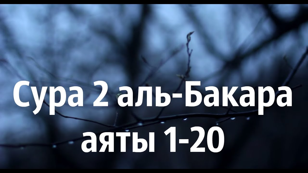 Сура аль Бакара аяты 1-20 - Зияд Пател