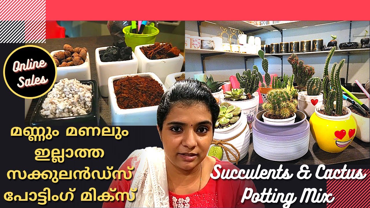 മണ്ണും മണലും ഇല്ലാത്ത സക്കുലൻഡ്സ് പോട്ടിംഗ് മിക്സ് Succulents and Cactus Potting Mix Malayalam