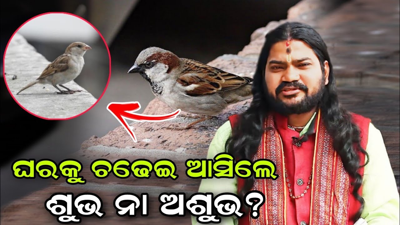 GHARAKU CHADHEI ASILE SUBHA NAA ASUBHA |@BHABADIBAKAR