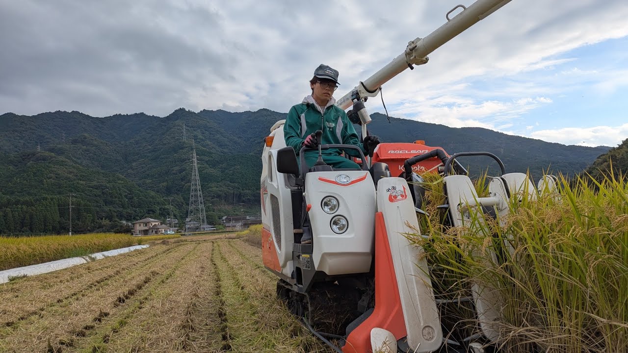 令和7年　稲刈り　籾摺り作業