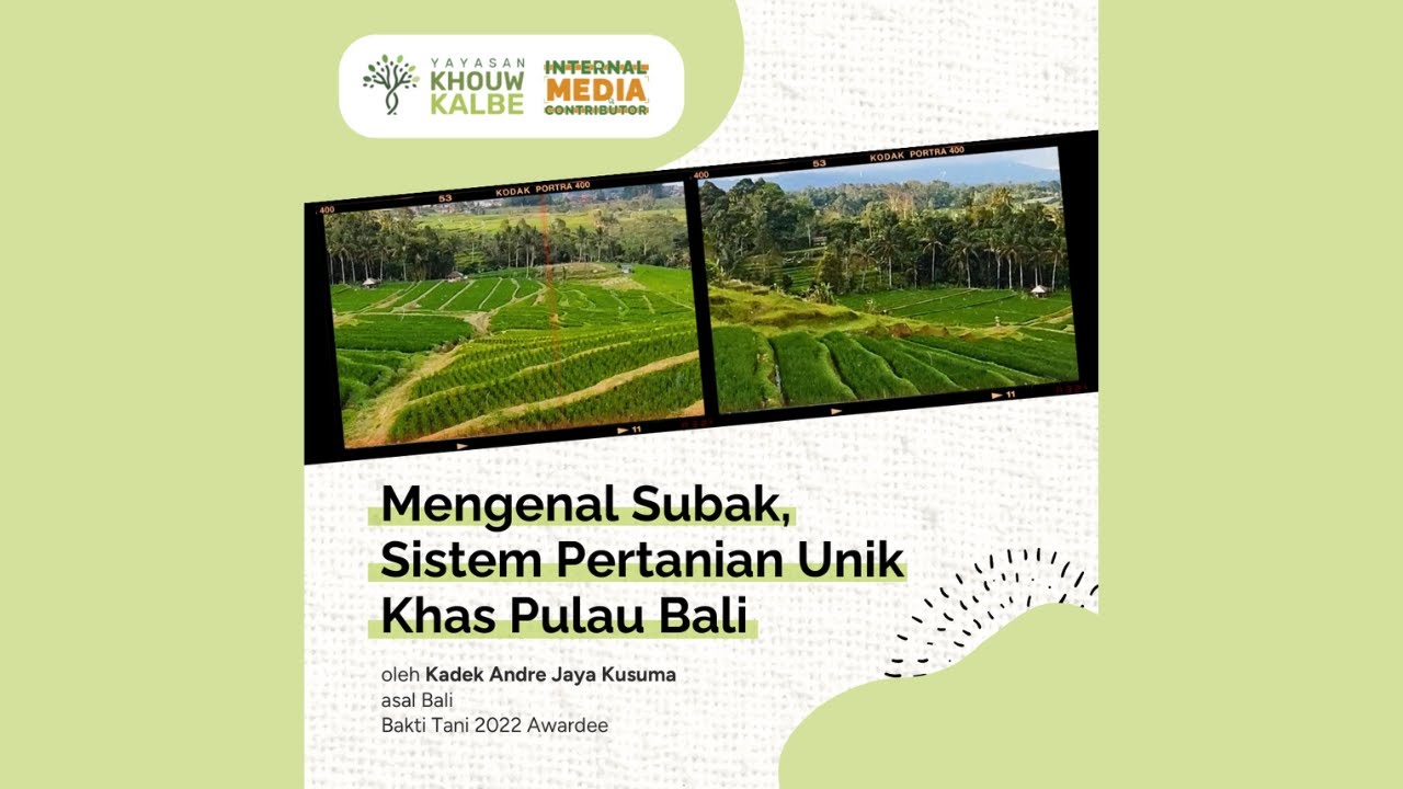 Mengenal Subak, Sistem Pertanian Unik Khas Pulau Bali